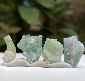 Hermosos especímenes de cristal de turmalina de Afganistán. - Imagen 1 de 5