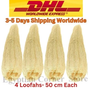 4 Jumbo 100% Organic Egyptian Loofahs Natural Body Exfoliator & Bath Scrubber - Picture 1 of 5