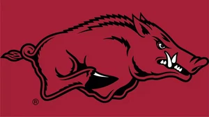 2-4 Tickets/ 2025 ARKANSAS RAZORBACKS FOOTBALL--All Home Games Available - Picture 1 of 1