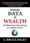 Where Data Is Wealth: Profiting from data storage in a digital society