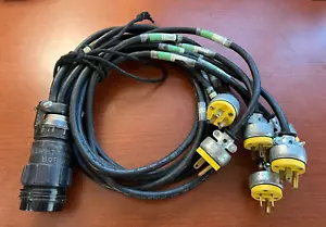 SOCAPEX 19 PIN Female to 6 Channel Edison Male Connector 14/3 4ft Breakout Cable - Picture 1 of 4