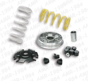 VARIATORE MALOSSI MULTIVAR 2000 PIAGGIO LIBERTY 125 - 150 2017 / 2021 5116674 - Imagen 1 de 1