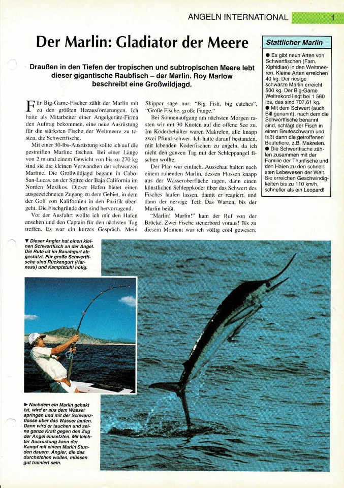 Roy Marlow - The Marlin - Gladiator of the Seas Info Card - Image 1 of 1