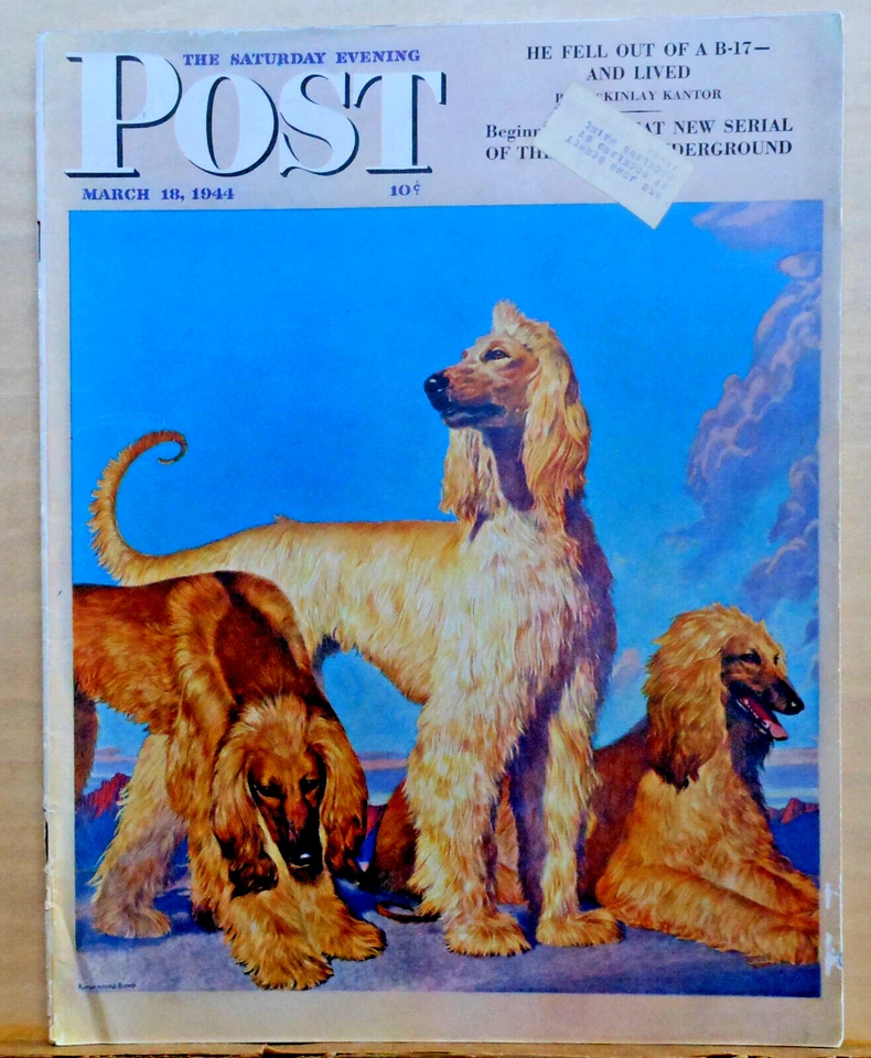 Saturday Evening Post - March 18, 1944 - Rutherford Boyd - Afghan dogs cover art - Image 1 of 1