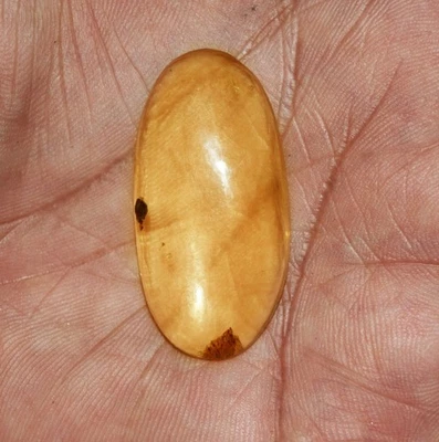 16.75 Cts. Natural Genuine Old Baltic Amber Untreated Certified Gemstone - Image 1 of 4