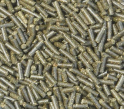 BASILIKUM PELLETS, Basilikum - für Pferde - Bild 1 von 3