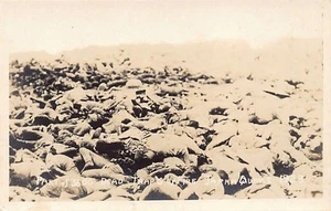 Japón - Gran Terremoto de Kanto de 1923 - TOKIO - Parte de 3600 muertos atrapados por el fuego - Imagen 1 de 2