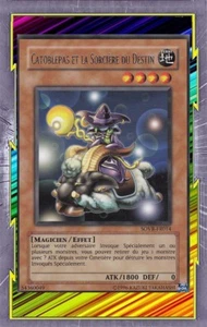 Catoblepas und die Hexe des Schicksals SOVR-FR014 Erde Magier Effekt Level 4 - Bild 1 von 1