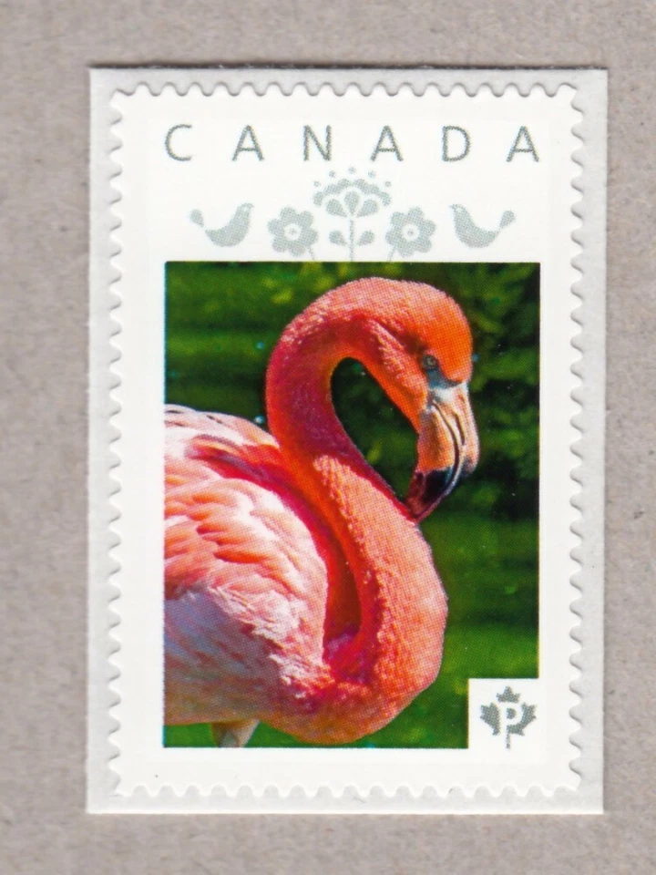Flamenco rosa = aves exóticas = sello postal con foto MNH Canadá 2017 p17-01bd6.4 Foto 1 de 2
