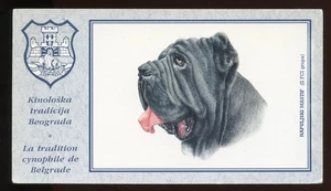 NEAPOLITAN MASTIFF Italian Dog Colour Art Postcard Published in Belgrade - Picture 1 of 2