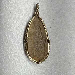 Fossil Fish Pendant Wired Wrapped In Gold Filled Wire - Picture 1 of 6