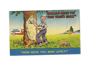 Postal vintage MWM BURSHEEN ""Cómo has estado"" cirujano de árboles humor sin franqueo - Imagen 1 de 2