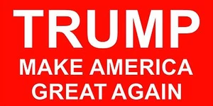 Calcomanía de vinilo Make America Great Again Trump pegatina parachoques para automóvil, computadora portátil, Cornhole - Imagen 1 de 1