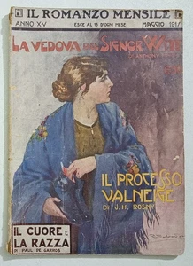 I118176 Il romanzo mensile 1917 a. XV n. 5 - La vedova del signor Witt - Picture 1 of 3