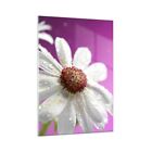 Impression sur Verre 50x70cm Tableaux Image Photo Fleur printemps jardin