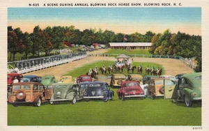 BLOWING ROCK NC HORSE SHOW 1940s AUTOS WOODIE VINTAGE LINEN POSTCARD 091025 U - Picture 1 of 2
