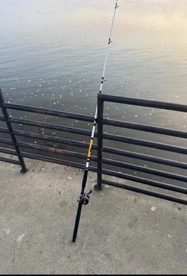 Bass Pro Catfish Bait Caster Rod - Image 1 of 3