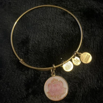 Alex & Ani  Gold Art Infusion Charm Bangle Bracelet NWOT✨️⭐️ - Image 1 of 3