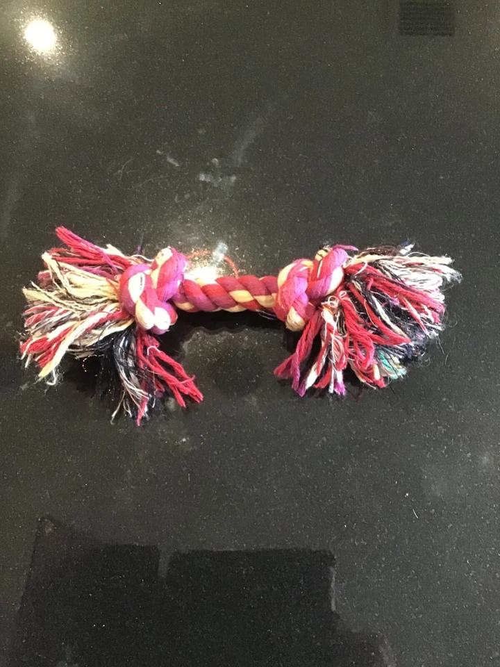 Dog Rope Toy - Image 1 of 1