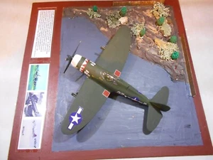 WORLD WAR II - P-47 THUNDERBOLT THE BUG 1/48 MODEL - DIORAMA W/ PLEXIGLAS COVER - Picture 1 of 15
