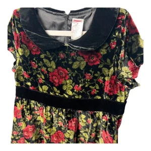 Gymboree Velvet Floral Dress Girls Size 8 Peter Pan Collar Party Boho Rose NWT - Picture 1 of 16