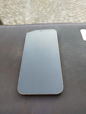 iPhone 12 256 GB Pro Max  - Immagine 1 di 4