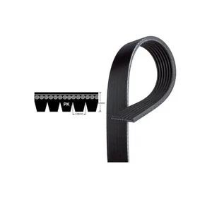 Cinturón en V de repuesto 8PK1735 multi ranura/poli V micro V engranaje - Ford Mustang - Imagen 1 de 1