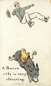 Postal de cómic c1904; A Burro Ride is Very Elevating, Man Bucked High in the Air - Imagen 1 de 2