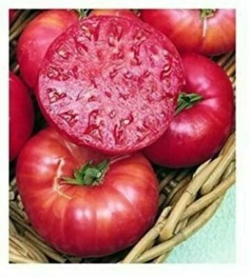 TOMATE CHEROKEE MORADO, 50 SEMILLAS + GRATIS - Imagen 1 de 3