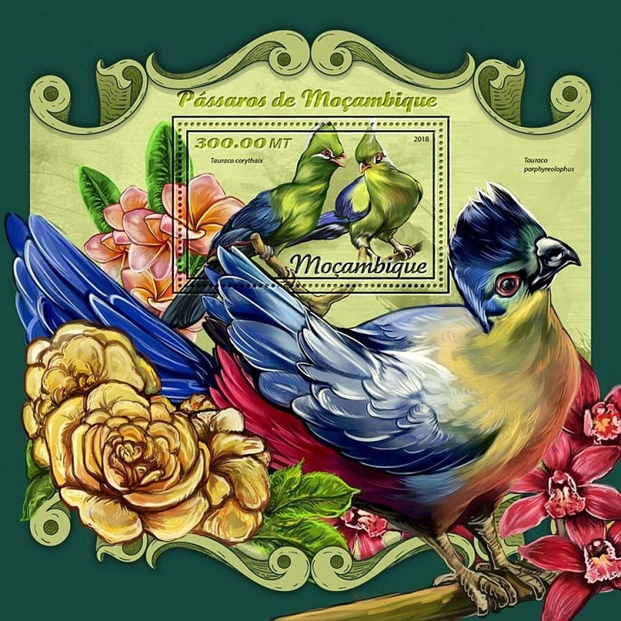 Pájaros de Mozambique Pájaros/Pájaros MNH 1v-Sello Hoja #1823 (2018 Mozambique) Foto 1 de 1
