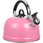 Nice Sounding Household Kettle Boiling Pot Home Boiling Water Kitchen