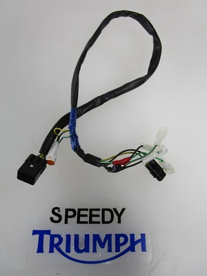 TRIUMPH STREET CUP STREET SCRAMBLER STREET DOBLE LUZ TRASERA INDICADOR ARNÉS Foto 1 de 4