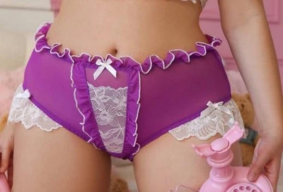Sexy Sheer Purple Mesh & Frilly White Lace Brief Panties Knickers PLUS 4X NEW - Image 1 of 4