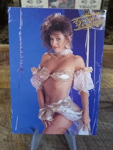 1992 Video Vixens Premiere Edition Trading Card / EVA ALLEN #23 / NM-MT - Picture 1 of 2