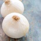 Onion- Gladalan White, 60 Seeds | Tsc: Heirloom & Op Seeds, Non-Gmo, Untreated)