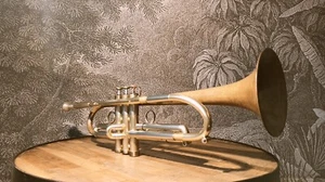 Trumpet Galileo Giolo by Egger - Zdjęcie 1 z 5