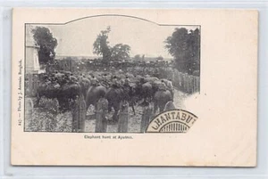 Thailand - Elephant hunt at Ayuthia - SEE SCANS FOR CONDITION - Publ. J. Antonio - Picture 1 of 2