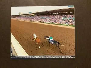 Foto ARROGATE CALIFORNIA CROMO 12 X 10 carreras de caballos 2016 Breeders Cup clásica - Imagen 1 de 1