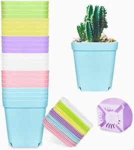 Anyumocz 24 Pack 3inch Multi Color Square Plastic Plant Pots,Seedling Nursery Tr - Picture 1 of 7