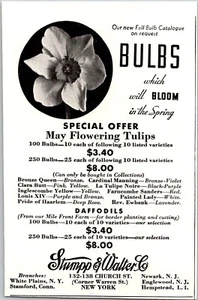 PRINT AD 1933 Stumpp & Walter May Flowering Tulips Daffodils Bulbs SMALL 3 x 4 - Picture 1 of 3