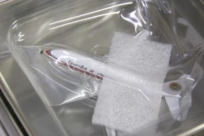 Jet comercial SkyJets Egypt Air en estaño fundido a presión - LATA ABIERTA Foto 1 de 3