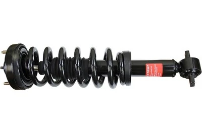 Monroe Quick-Strut 173032R suspensión puntal y muelle helicoidal Ford F-150 2015-2020 Foto 1 de 4
