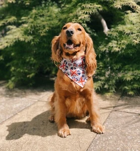 Dog Bandana Union Jack Flag UK Hearts Slip On Collar Ideal - Picture 1 of 5