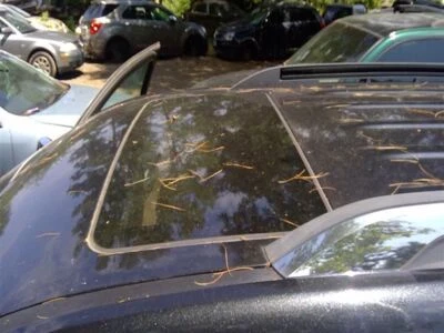 Roof Glass Fits 09-17 EQUINOX 3322131 Foto 1 de 4