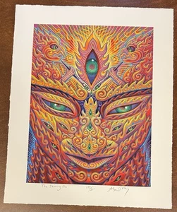 Impresión artística Alex Grey Shining One S/# 200 con herramienta de certificado de autenticidad póster artista psicodélico - Imagen 1 de 6