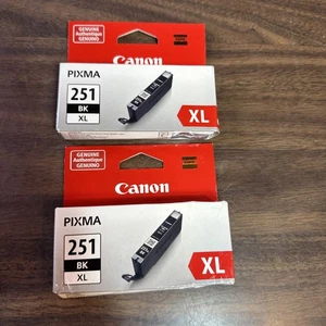 CANON PIXMA 251 BLACK XL GENUINE INK CARTRIDGES (2 Pack) - Picture 1 of 6