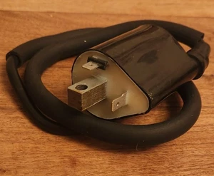 Bobina accensione HT 12v CDI cavo singolo (2 terminali 3+6) (80mm) - Foto 1 di 4