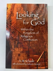 LOOKING FOR GOD - Within The Kingdom Of Religious Confusion - (Paperback) - Imagen 1 de 4