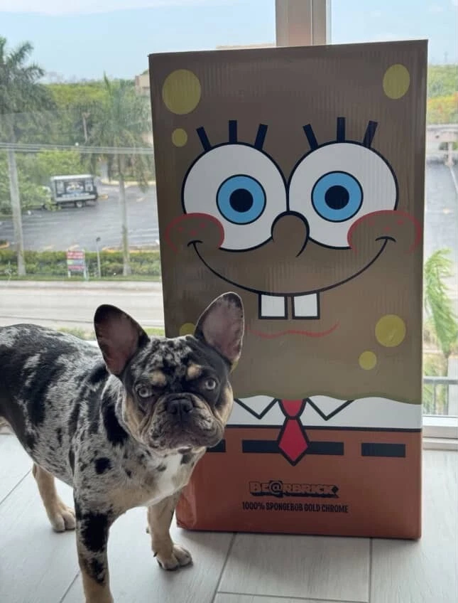 Bearbrick Medicom Toy Be@rbrick SpongeBob 1000% only box and styrofoam  - Image 1 of 4