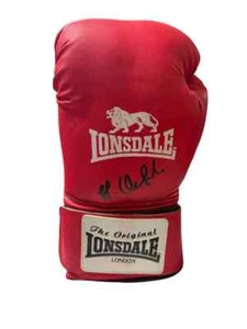 Guante de Boxeo James DeGale 'Chunky' Boxer Súper Mediano Firmado Lonsdale + Certificado de Autenticidad - Imagen 1 de 1